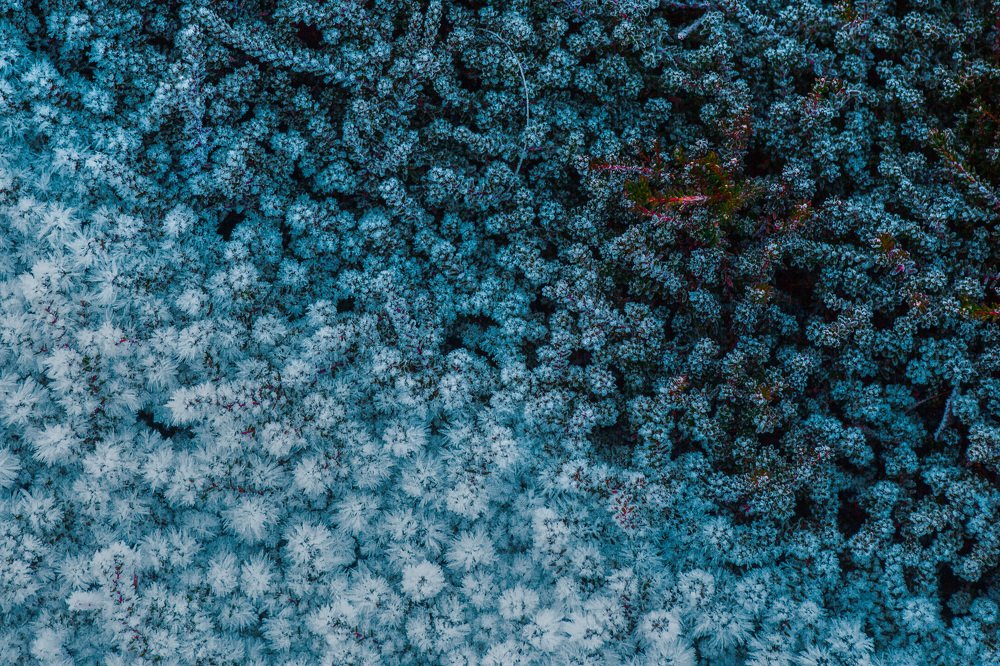 Фотография автора Алексей Новиков