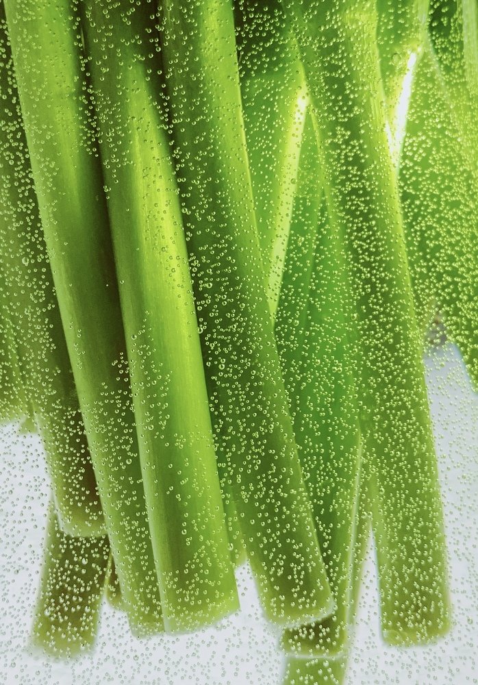 Photograph by Мария