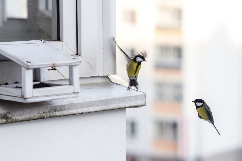 Фотография автора Гудкова Светлана