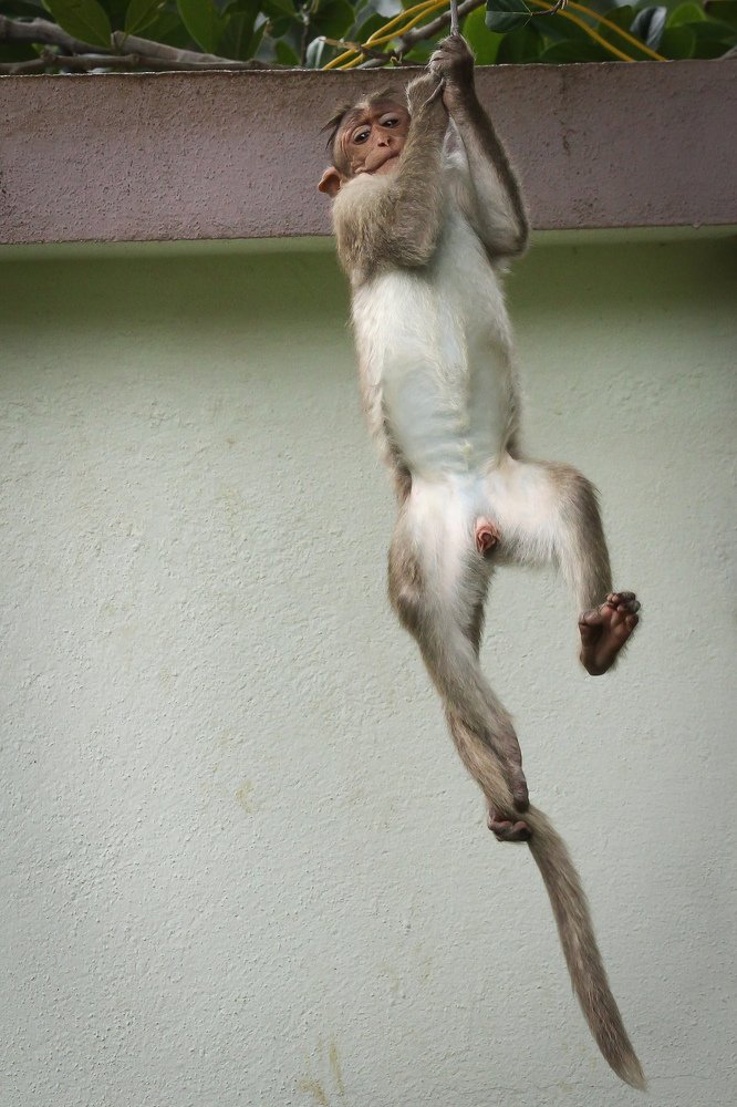 Photograph by prabhakar Gujjarappa