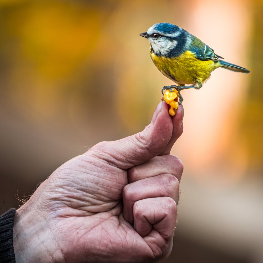 Photograph by Helena Gylleby Douchka