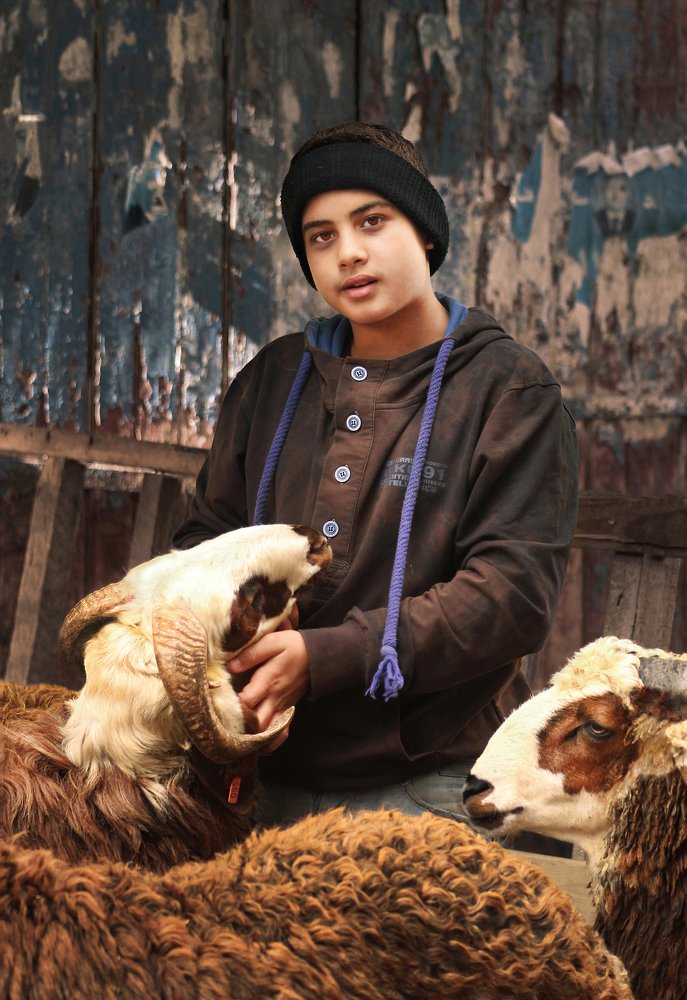 Photograph by Mohamed Abdelkader