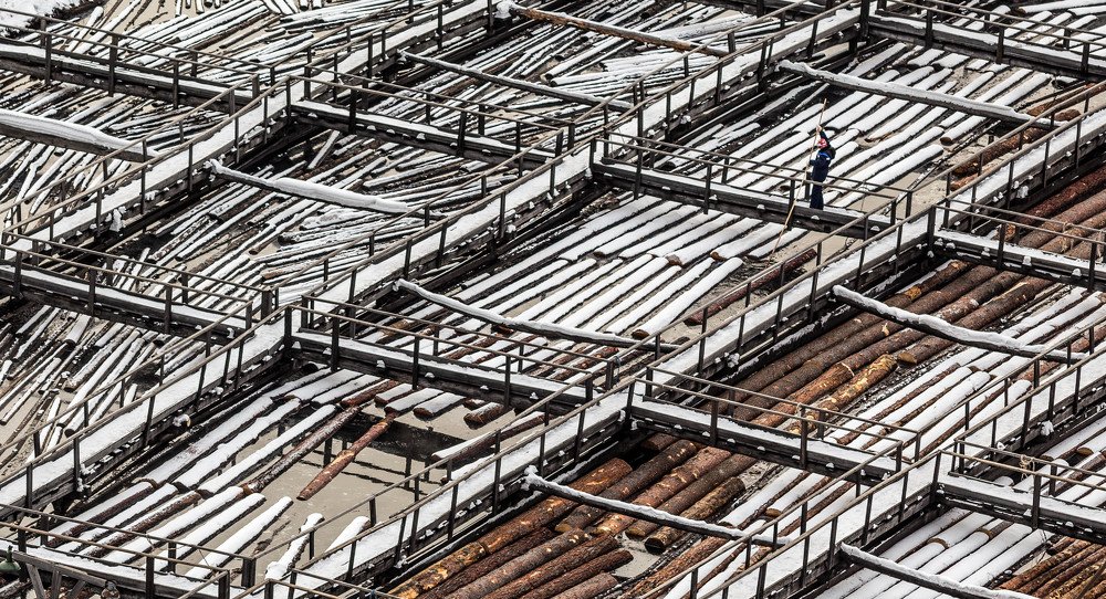 Фотография автора Андрей Логвинович