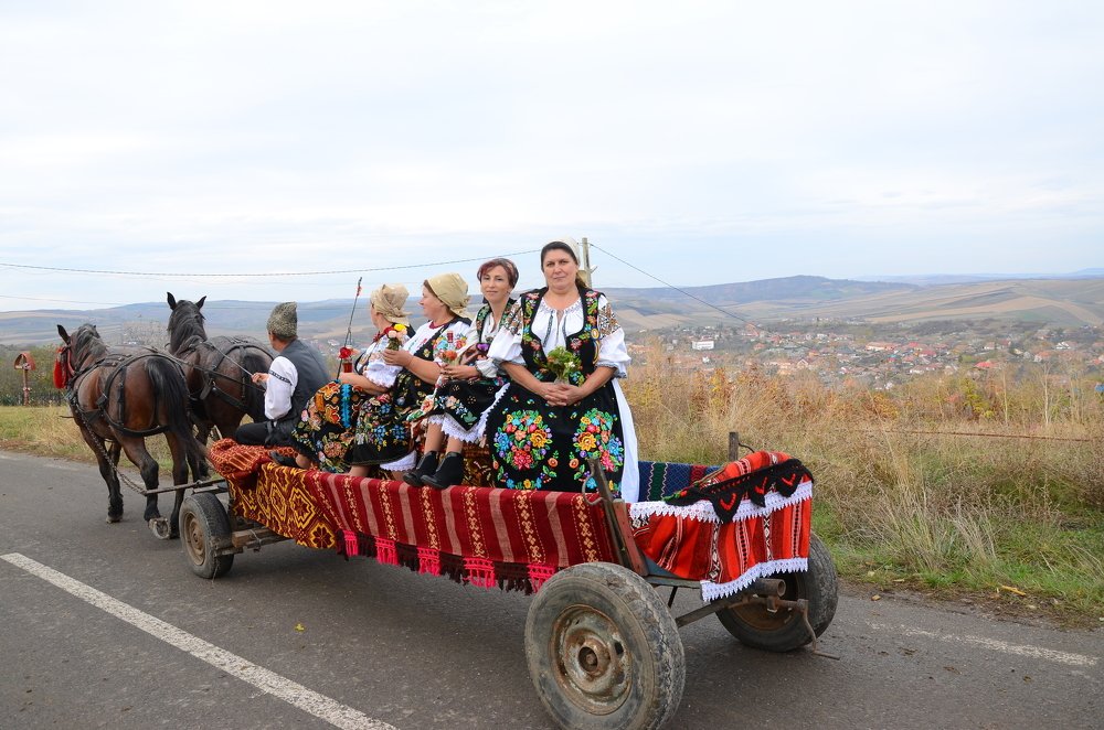 Фотография автора Teglaş Marin