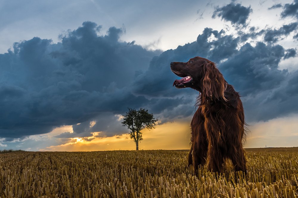 Photograph by Žanas Kalvaitis