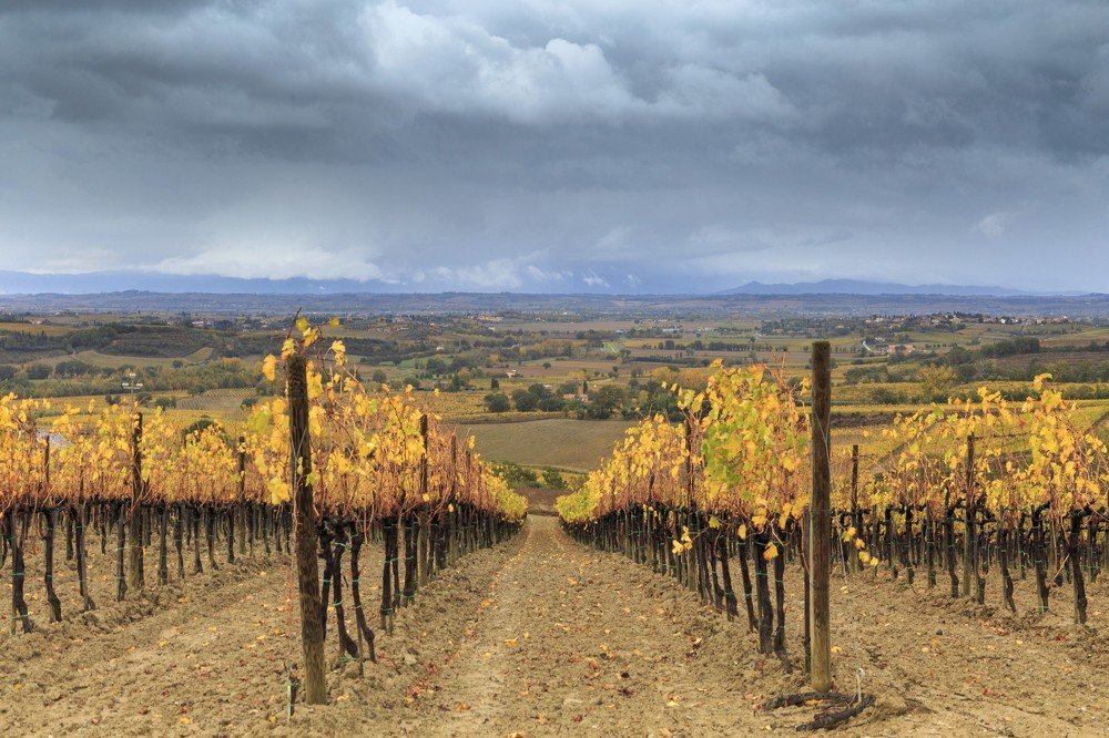 Фотография автора Matej Kotula