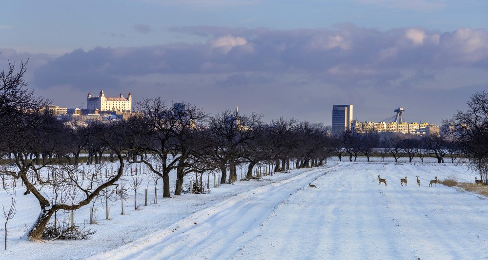 Фотография автора Matej Kotula