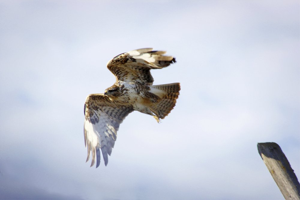 Фотография автора Teglaş Marin