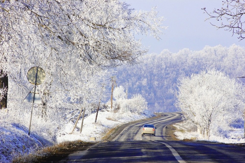 Фотография автора Teglaş Marin