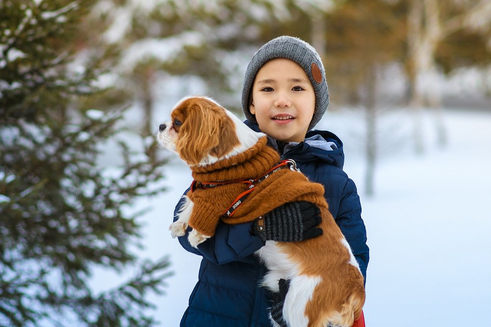 Photograph by Амиров Марат