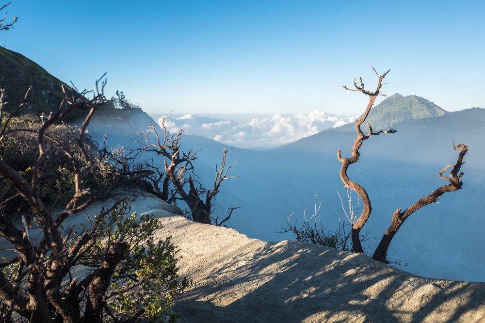 Photograph by Дмитрий Емельянов