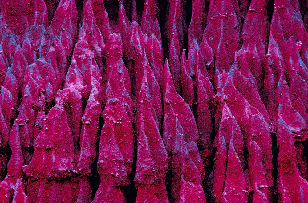 Photograph by Helen Mountaniol