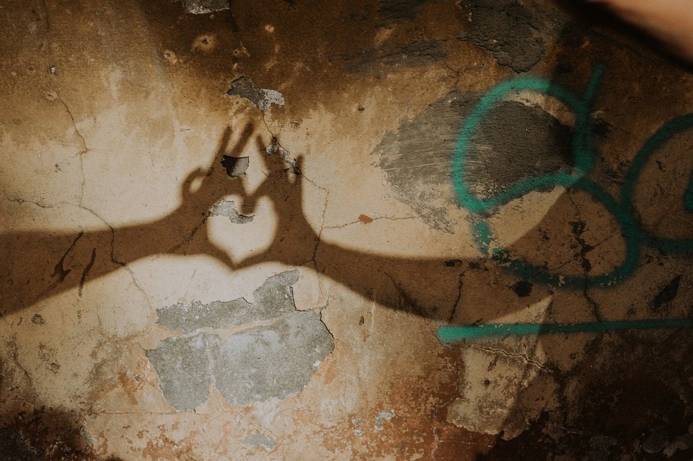 Photograph by Сафронова Любовь