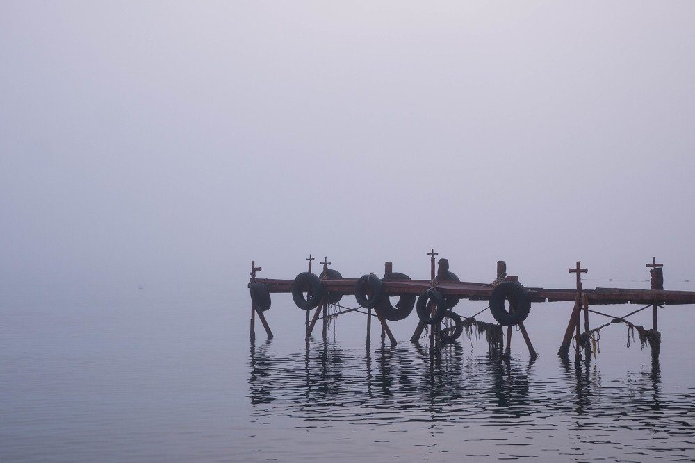 Photograph by Марина Кончикова