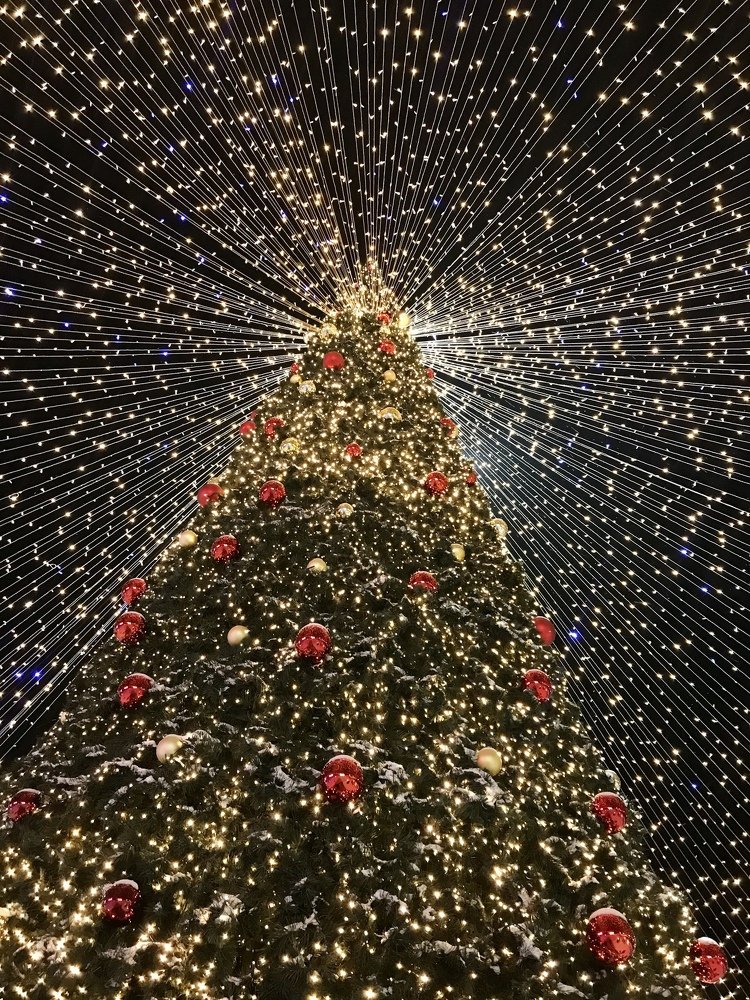 Photograph by Елена Мормоль