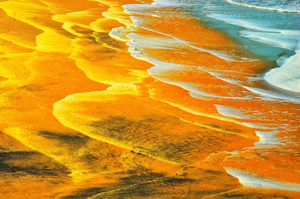 Photograph by Vy Van Bui