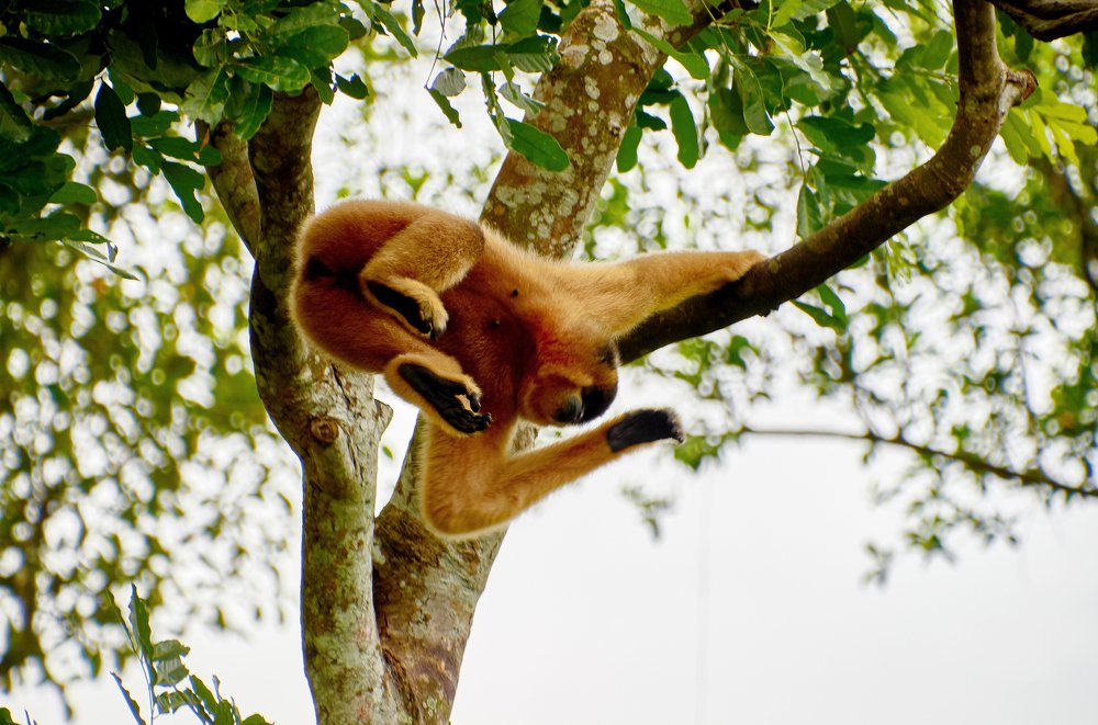 Photograph by Валерий Гончаров