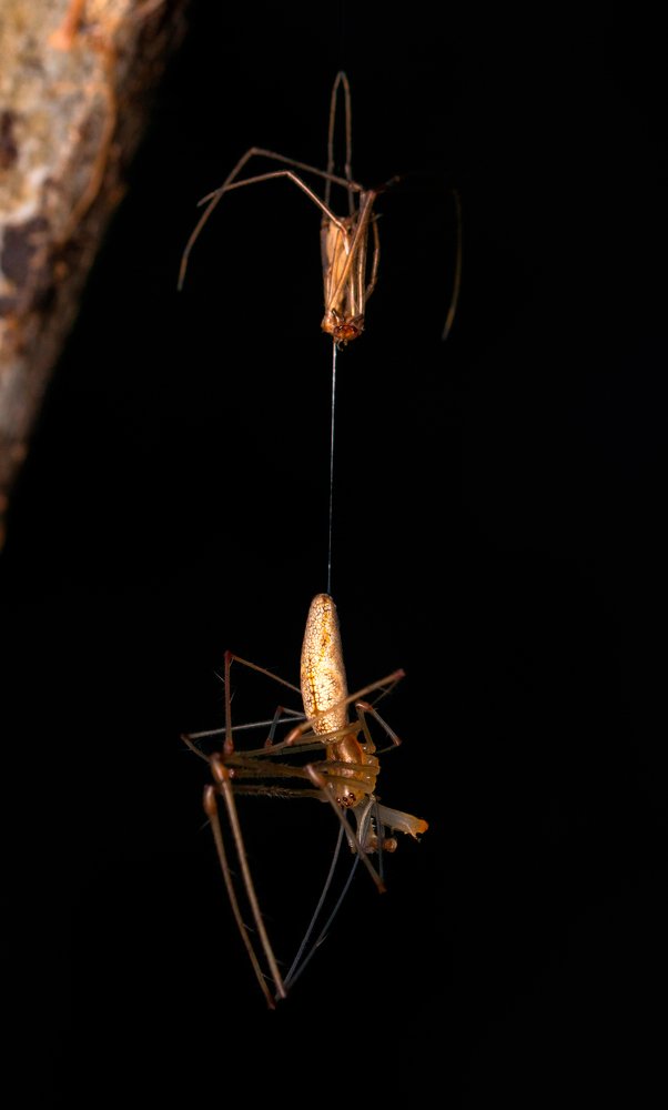 Photograph by Viktor Rybak