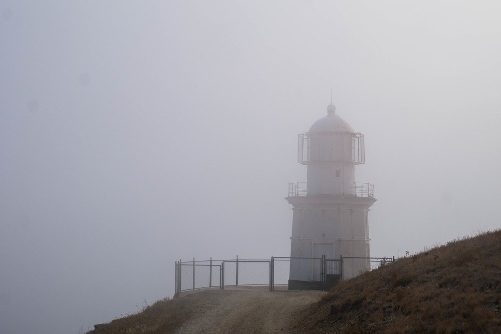 Photograph by Марина Кончикова