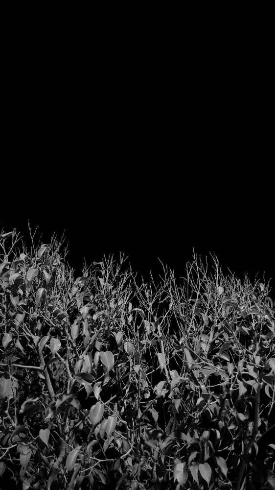 Photograph by Kinza Siddiqui