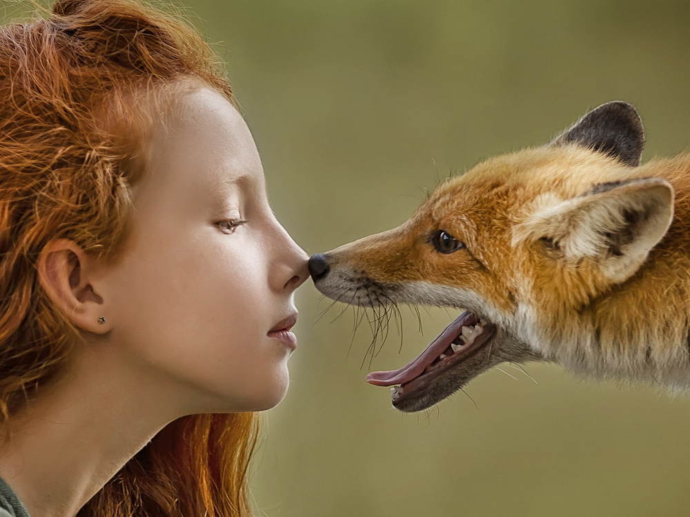 Photograph by Гимельфарб Кирилл