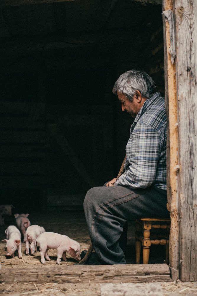 Photograph by Ольга Капустина