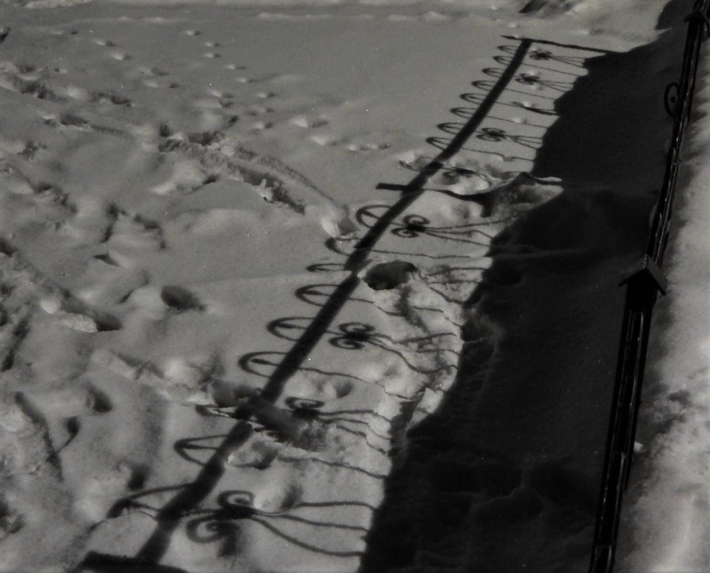 Photograph by Ирина Самойленко