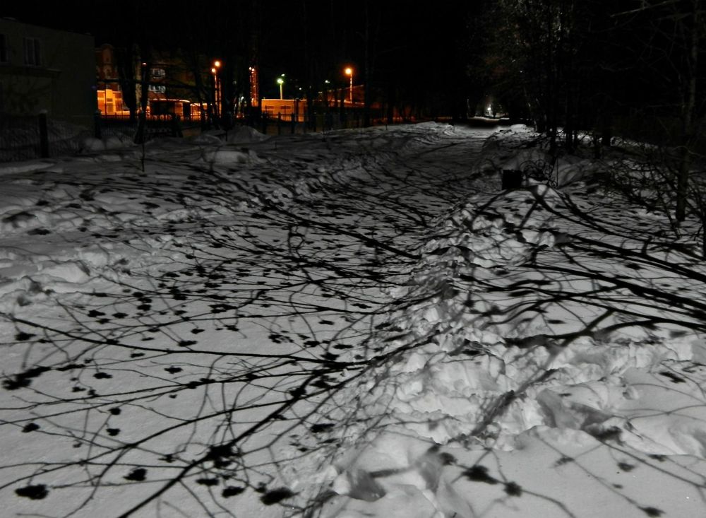 Photograph by Ирина Самойленко