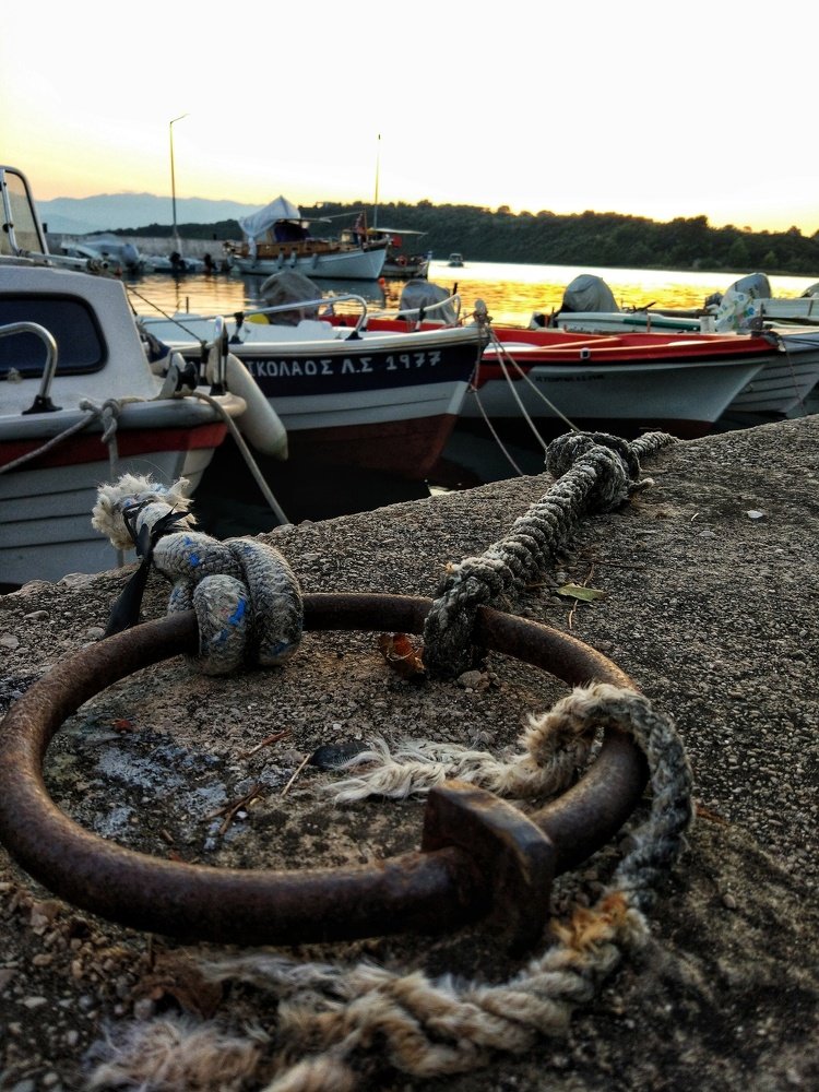 Photograph by Tani akse