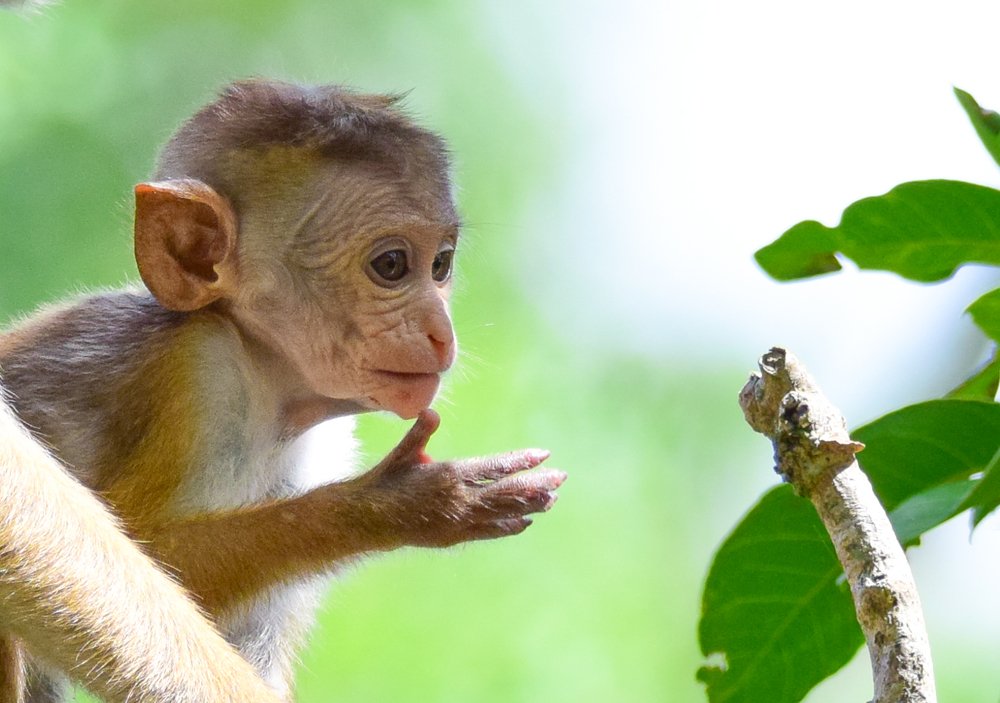 Thinking about the future