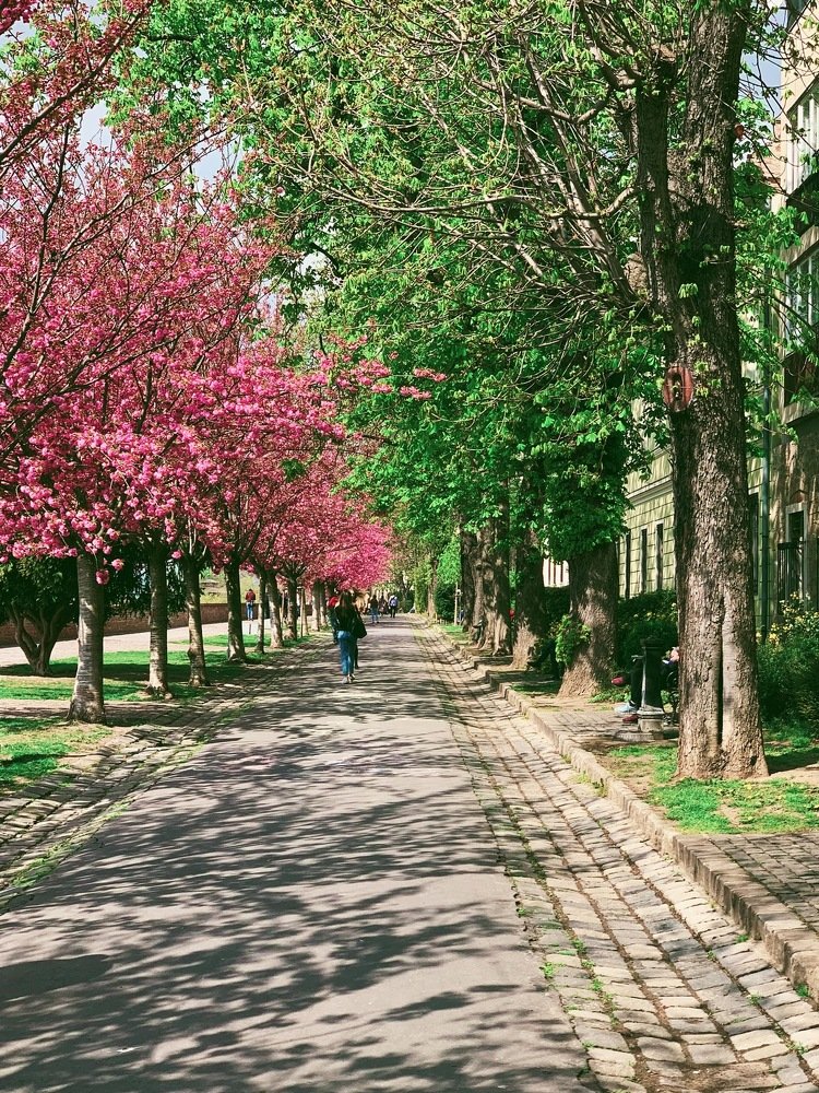 Photograph by Мария