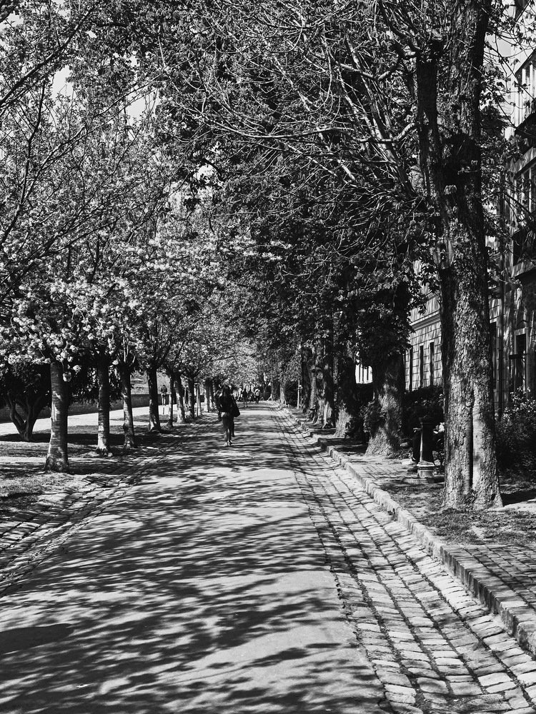 Photograph by Мария