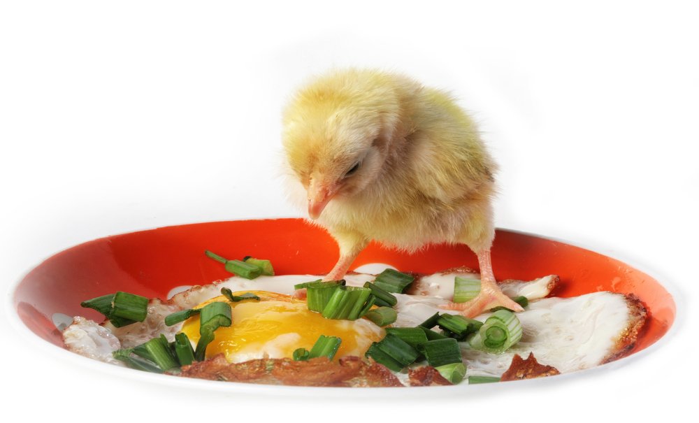 Фотография автора слесарь