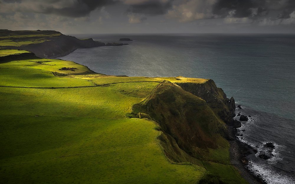 50 оттенков зеленого