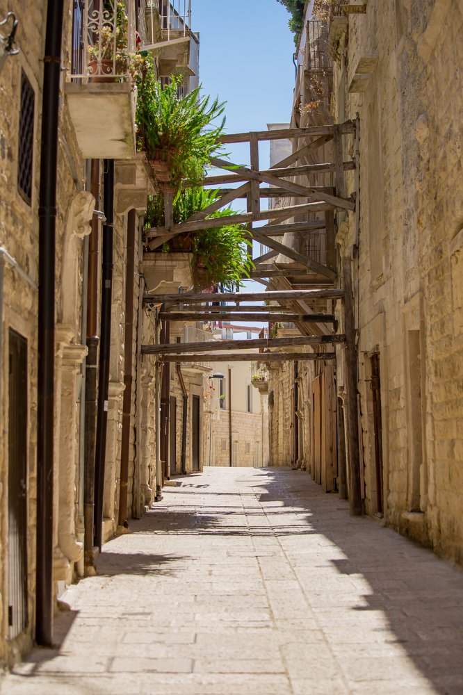 Photograph by Евгения Бочарова