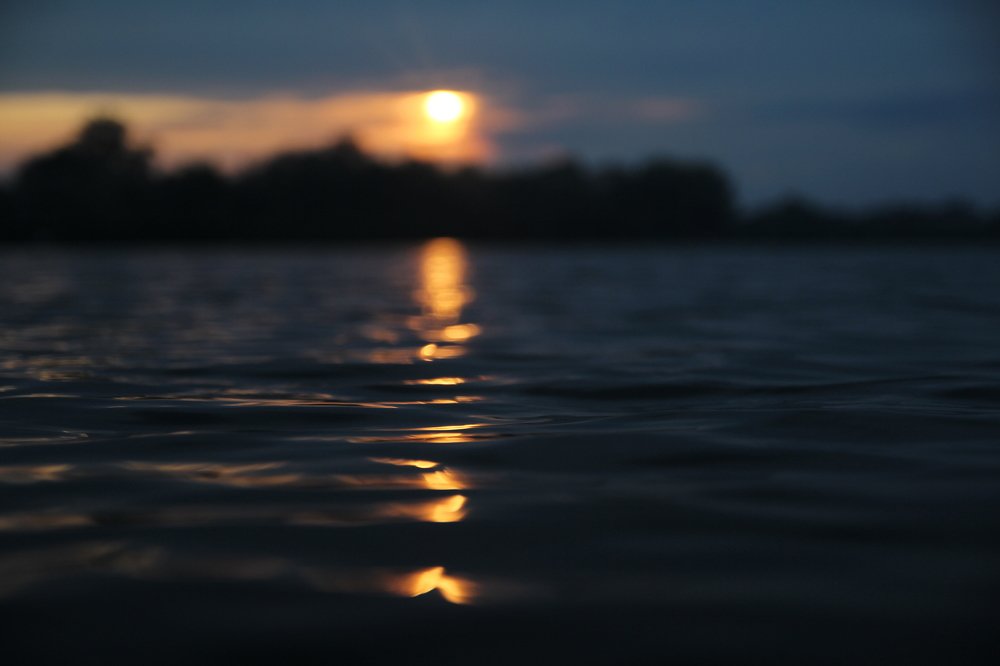 Photograph by Егор Гардин