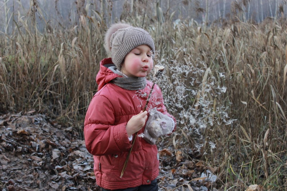 Осенние чудеса