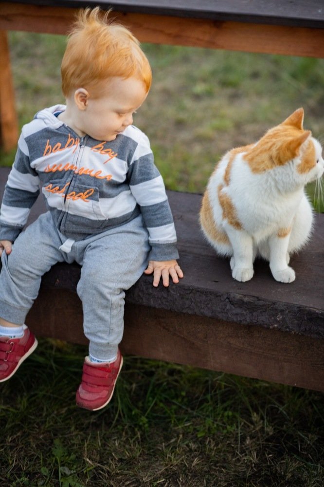 Фотография автора Александра Кириллова