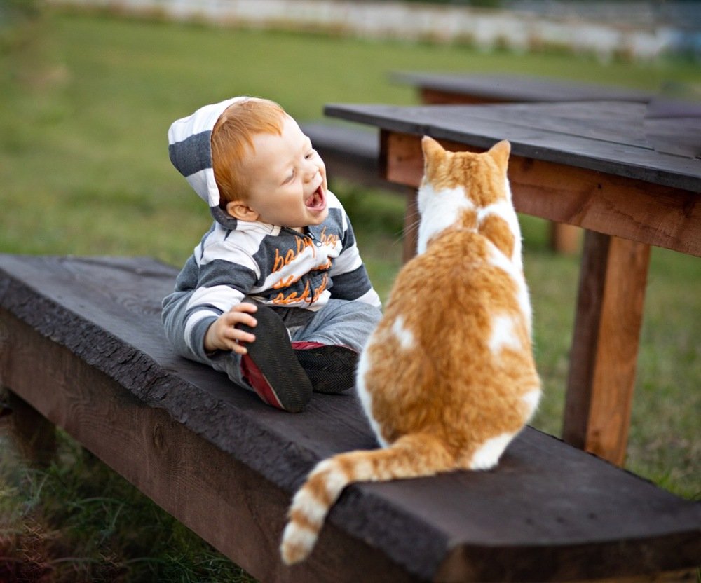 Фотография автора Александра Кириллова