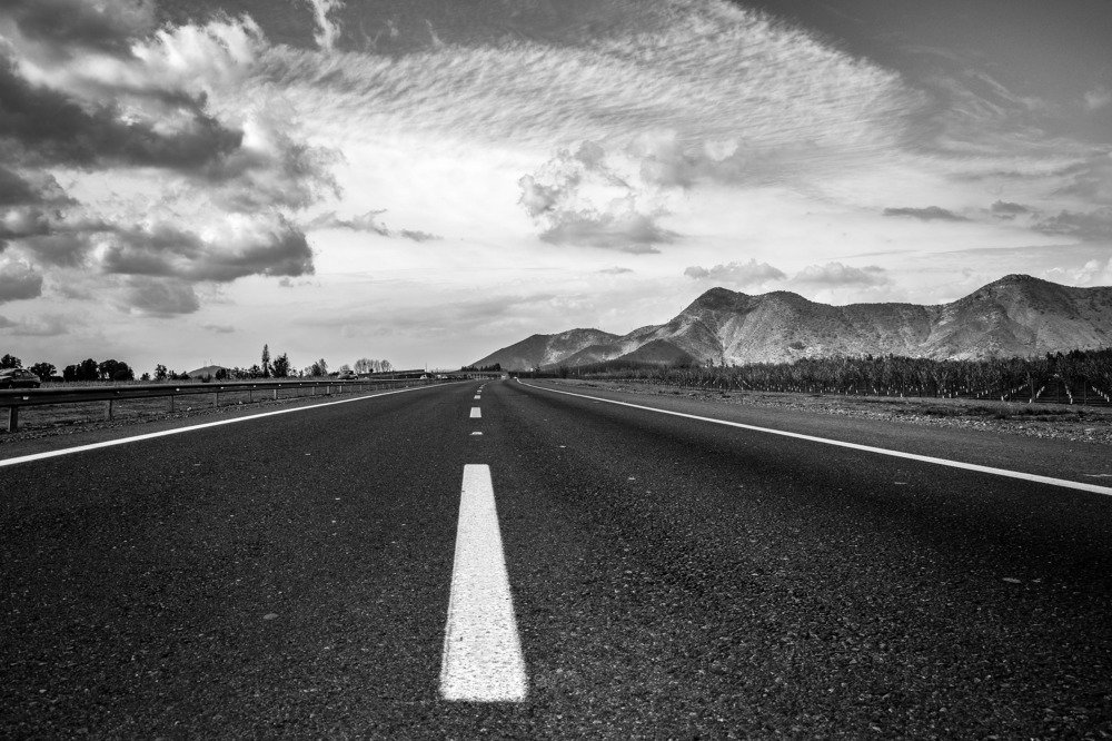 Photograph by Berta Cofre