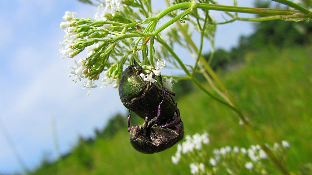 Photograph by Александр Поздняков