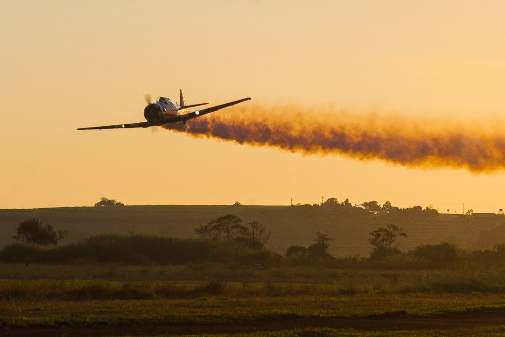 Photograph by Lívia Machado