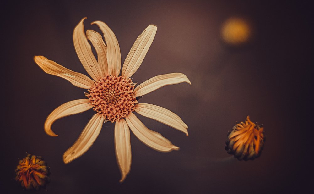 Photograph by francisco willian saldanha