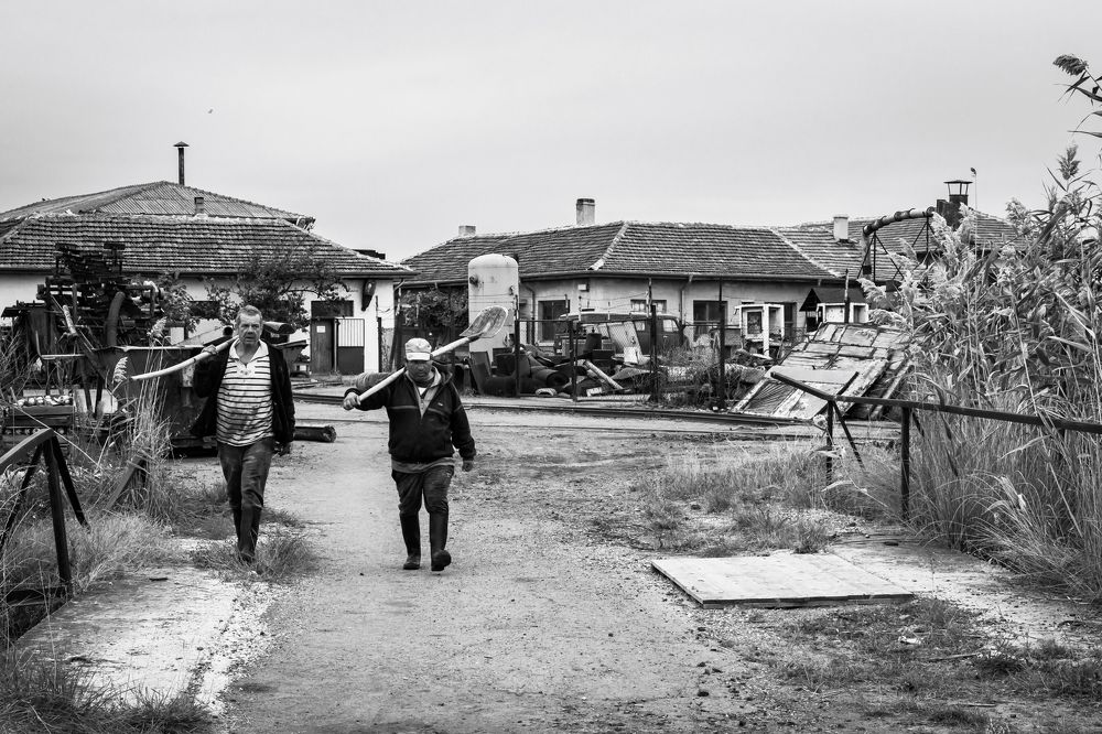 Photograph by Polina Sharapova