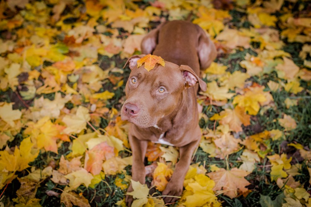 Photograph by Елена Левина