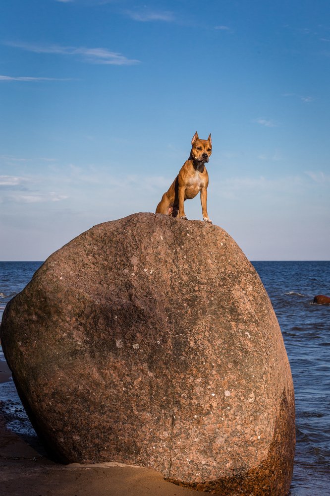 Photograph by Елена Левина