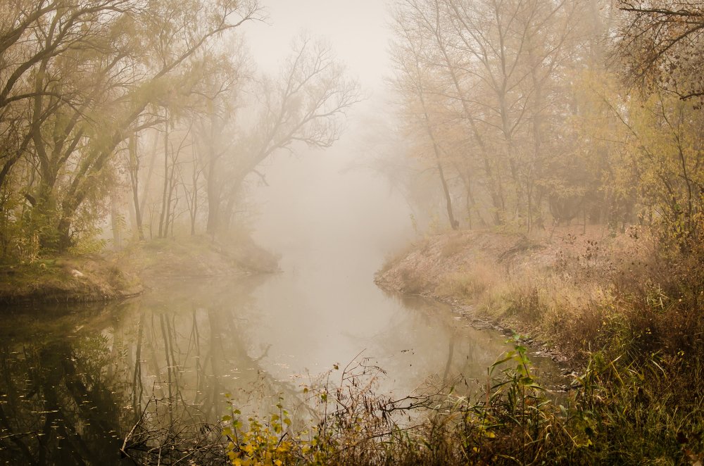 Туманный пейзаж