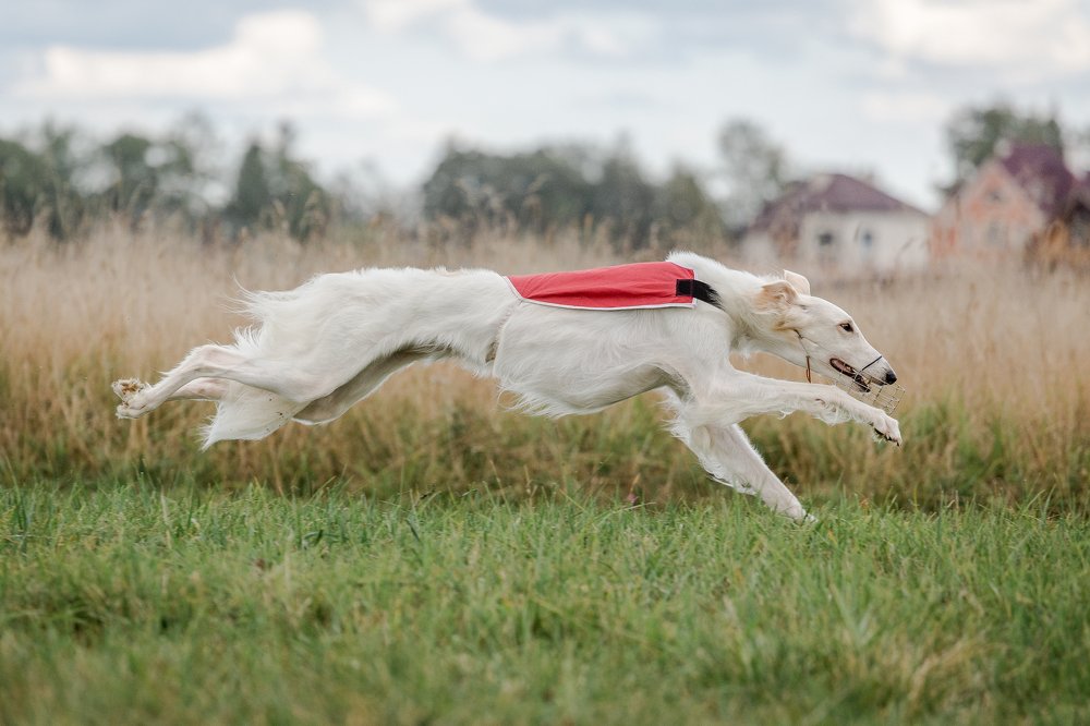 Photograph by Елена Левина