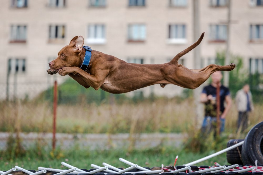 Photograph by Елена Левина