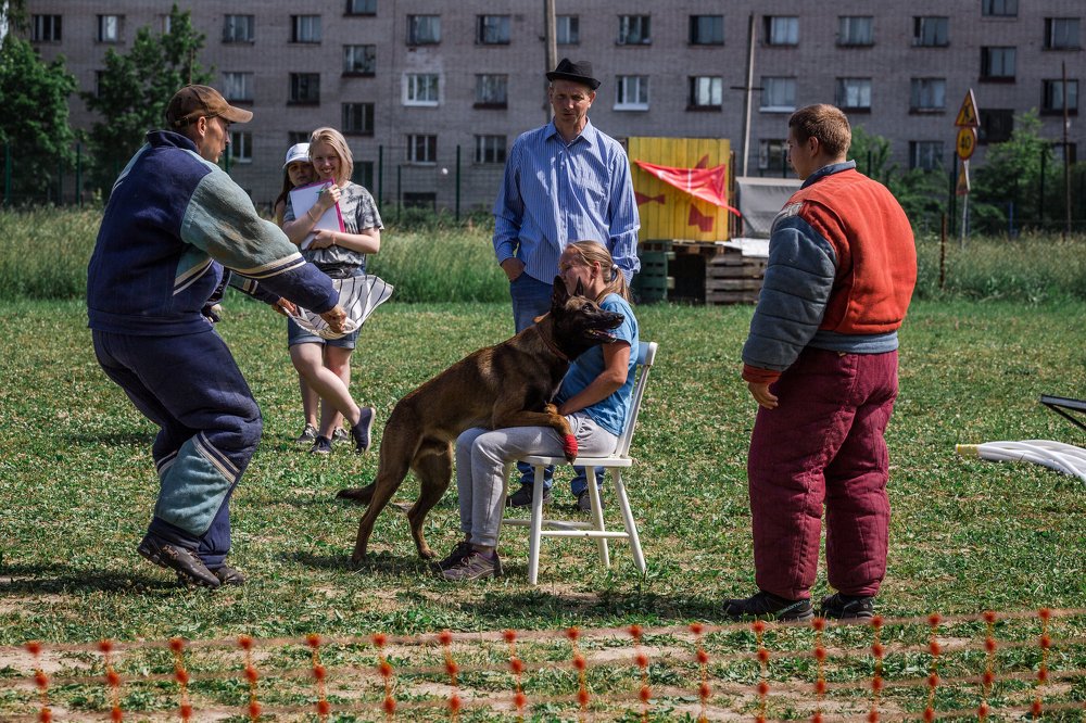 Photograph by Елена Левина